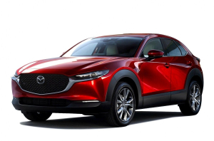 Коврик в багажник Mazda CX-30 2019-н.в.