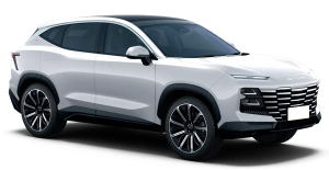 Коврик в багажник Jetour Dashing 2022-н.в.