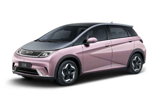 Коврики в салон (2 ряда) BYD Dolphin 2021-н.в.